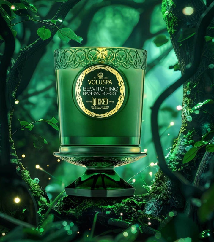 VOLUSPA X WICKED Limited Edition Bewitching Banyan Forest Boxed Candle