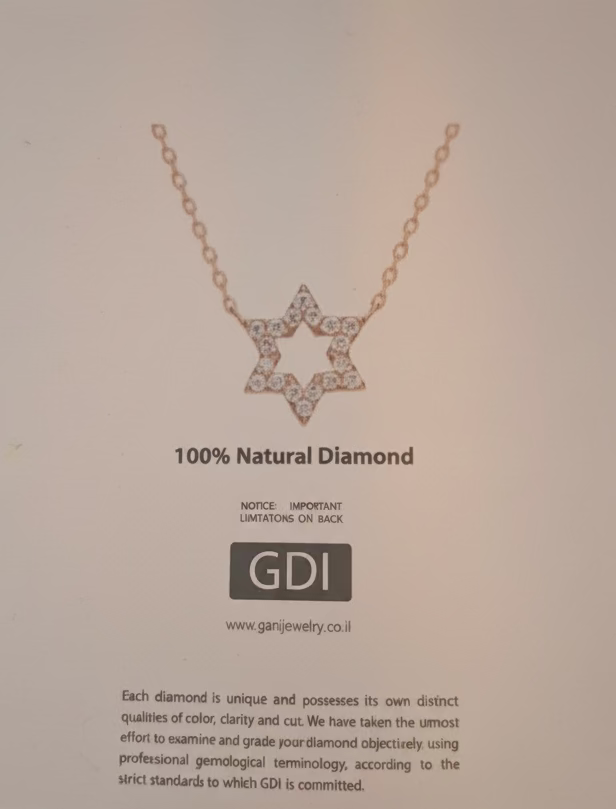 14K GOLD AND DIAMONDS STAR OF DAVID NECKLACE