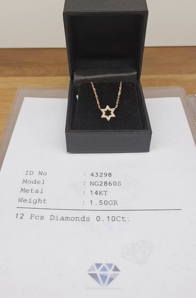 14K ROSE GOLD AND DIAMONDS STAR OF DAVID NECKLACE