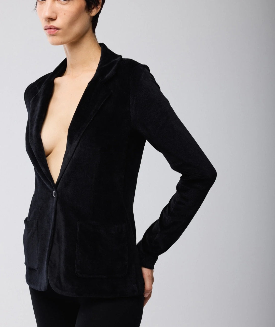 MAJESTIC FILATURES Tailored Velvet Blazer