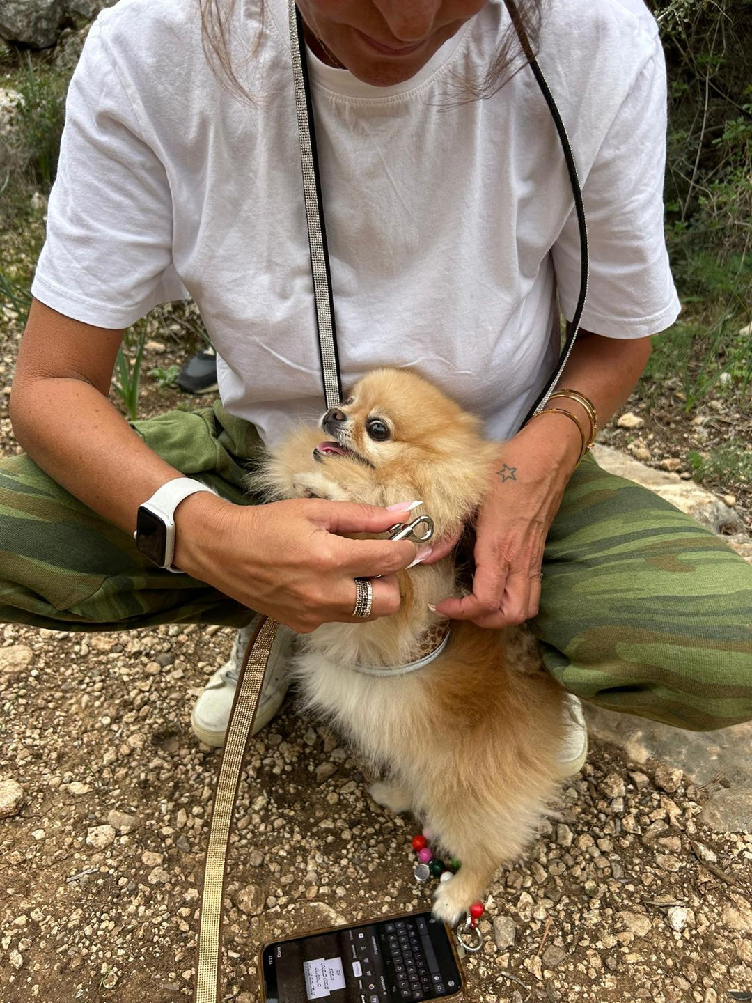 SMALL DOG RHINESTONE LEASH Gold/ Brown